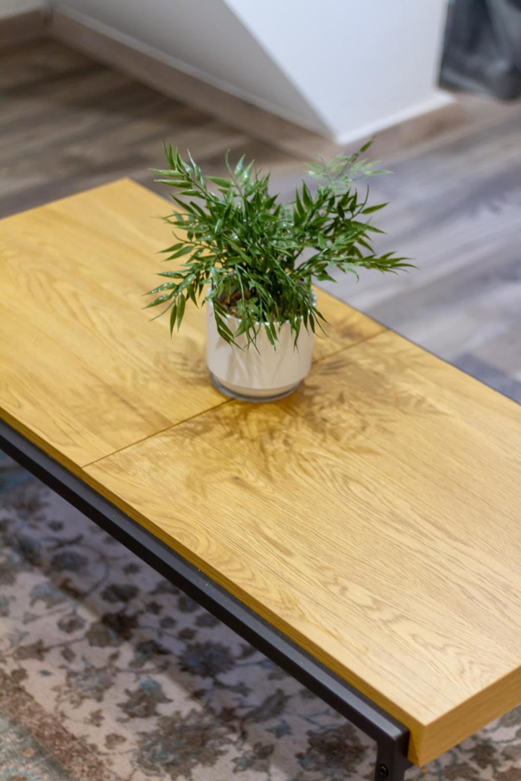 Apartment Galerie Vibes In Josika Street By Nw